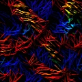 050207 (25)